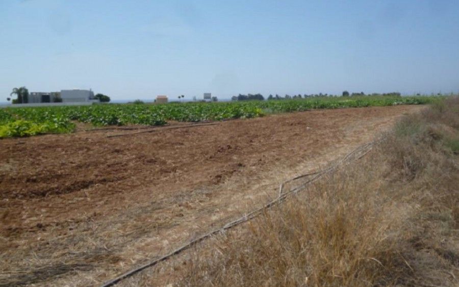 Land in Larnaca, Cyprus, 6 707 sq.m - picture 1