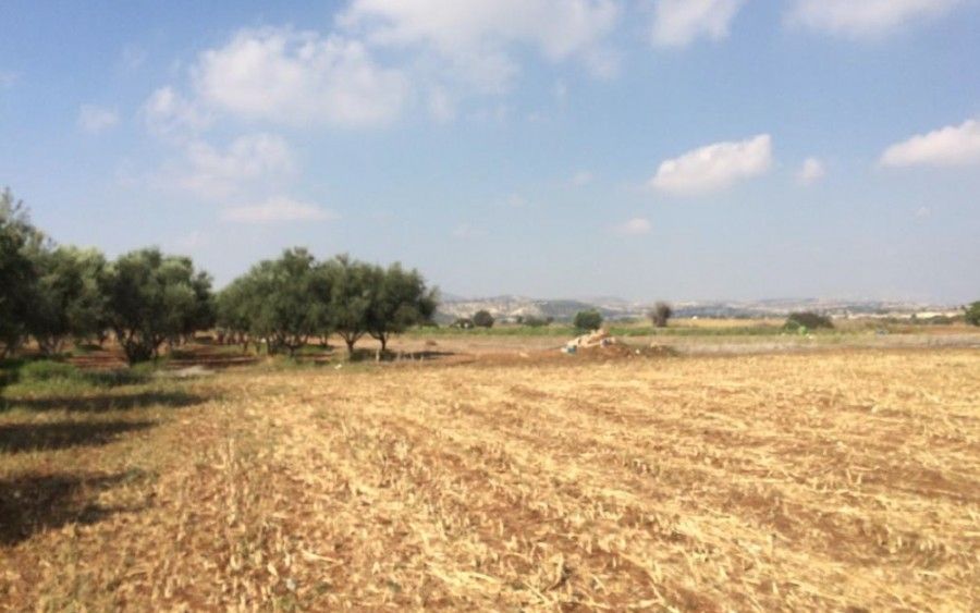 Land in Larnaca, Cyprus, 5 686 sq.m - picture 1