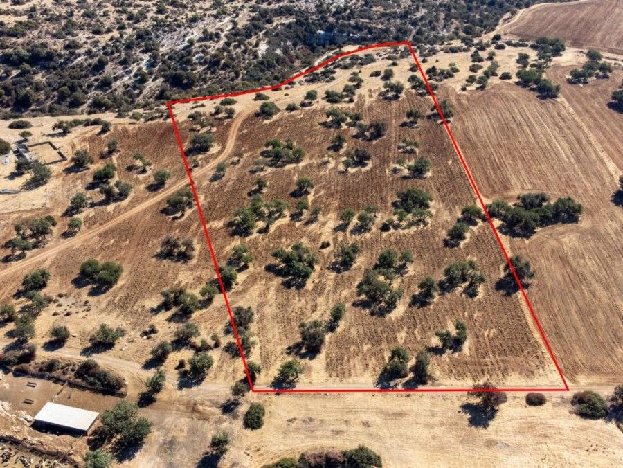 Land in Paphos, Cyprus, 26 924 sq.m - picture 1