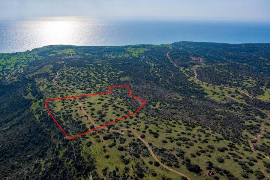 Land in Limassol, Cyprus, 40 135 sq.m - picture 1