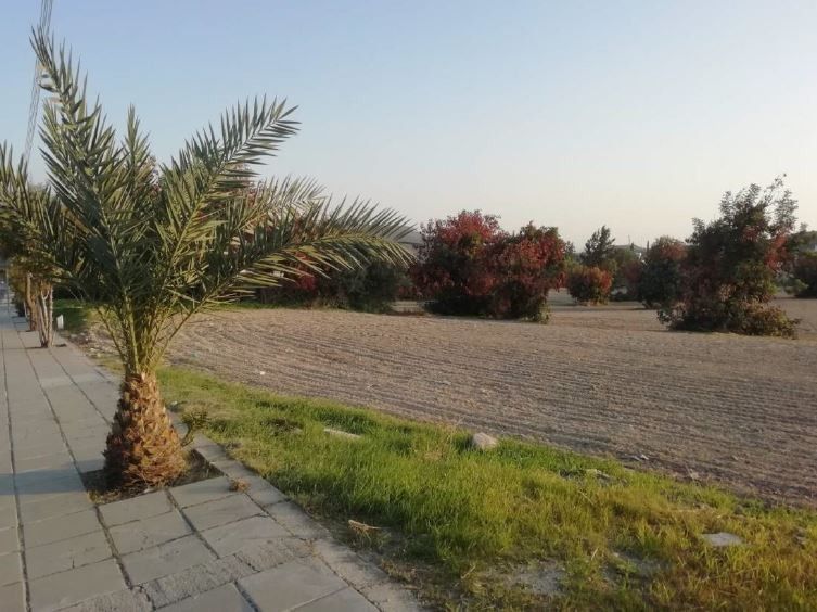 Land in Larnaca, Cyprus, 9 167 sq.m - picture 1