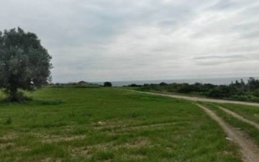 Land in Larnaca, Cyprus, 26 800 sq.m - picture 1