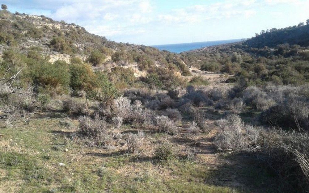 Land in Limassol, Cyprus, 18 785 sq.m - picture 1