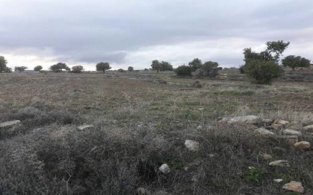Land in Limassol, Cyprus, 58 529 sq.m - picture 1