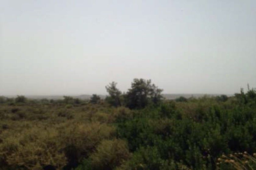 Land in Limassol, Cyprus, 21 740 sq.m - picture 1