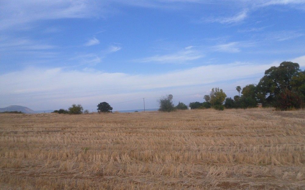 Land in Paphos, Cyprus, 15 051 sq.m - picture 1