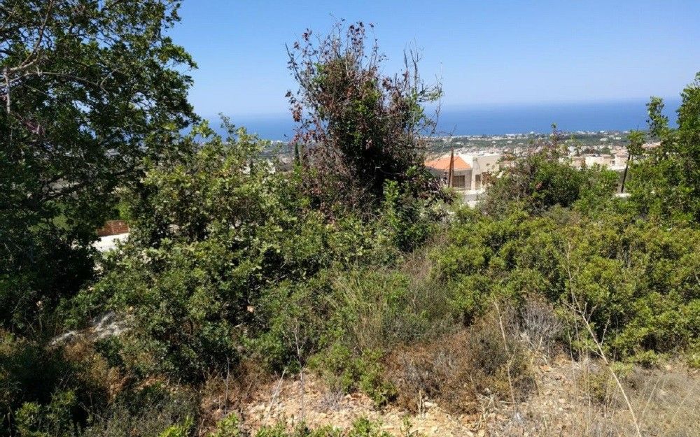Land in Paphos, Cyprus, 6 247 sq.m - picture 1