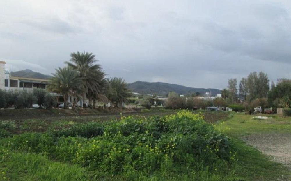 Land in Paphos, Cyprus, 4 014 sq.m - picture 1