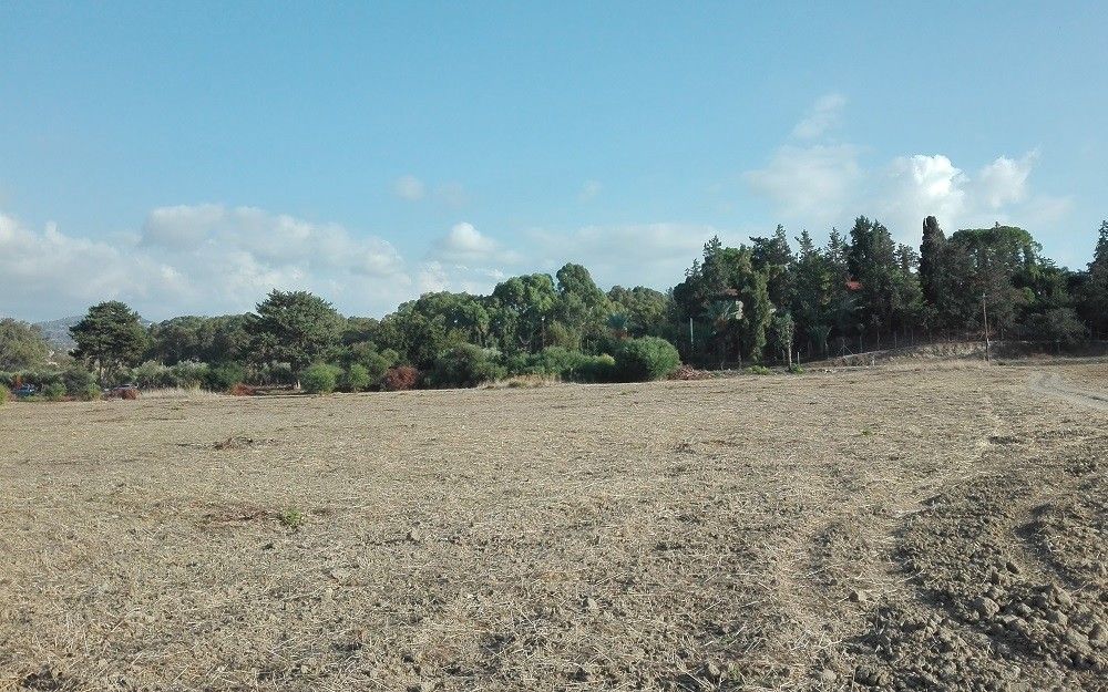 Land in Paphos, Cyprus, 1 011 sq.m - picture 1