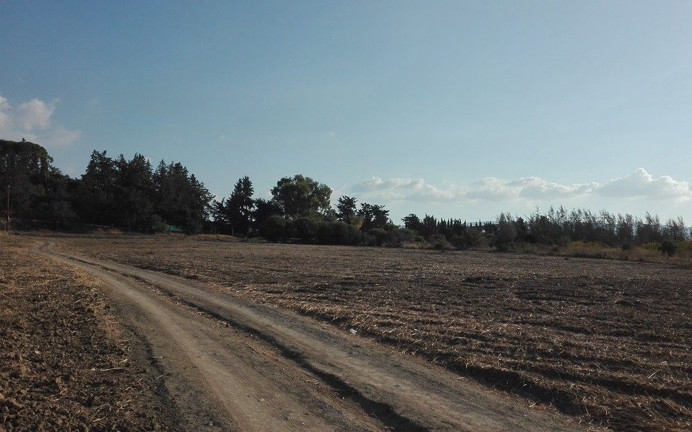 Land in Paphos, Cyprus, 1 087 sq.m - picture 1