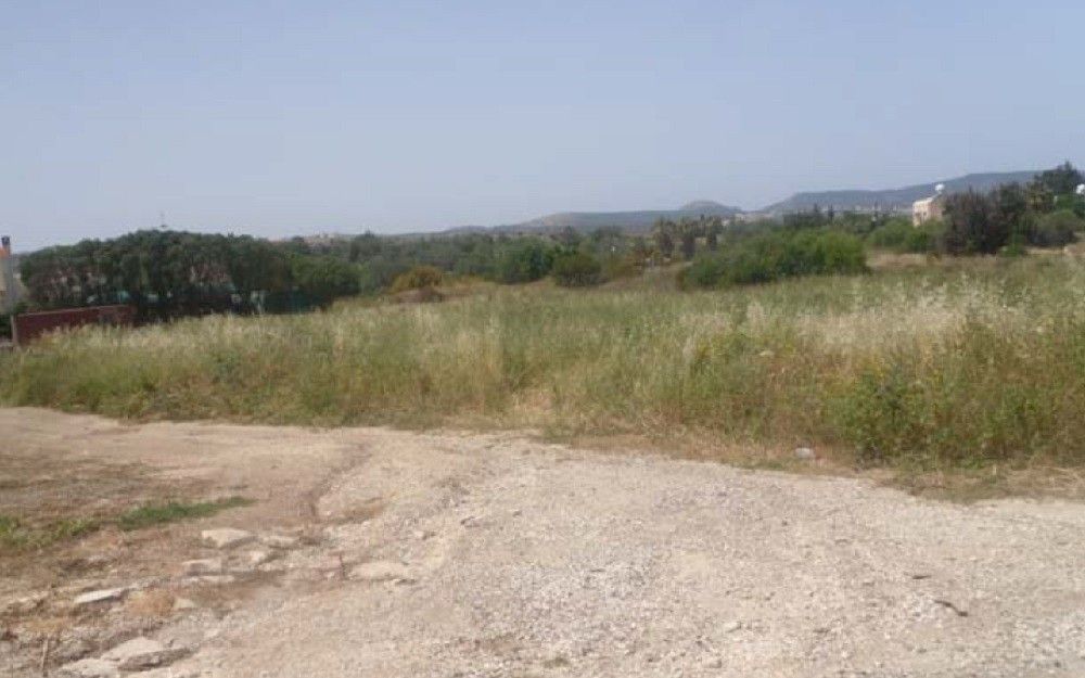 Land in Paphos, Cyprus, 2 443 sq.m - picture 1