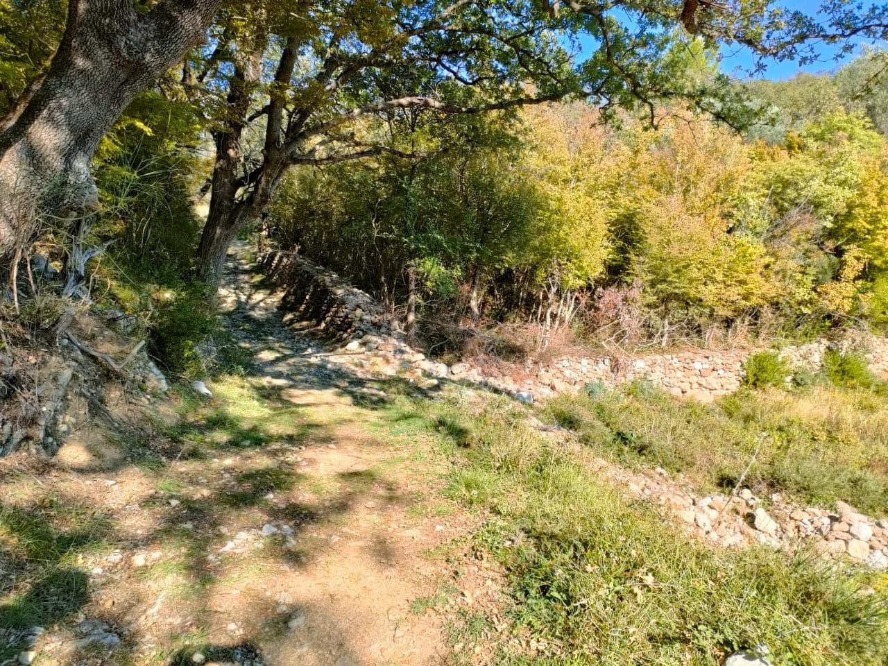 Land in Sutomore, Montenegro, 1 600 sq.m - picture 1