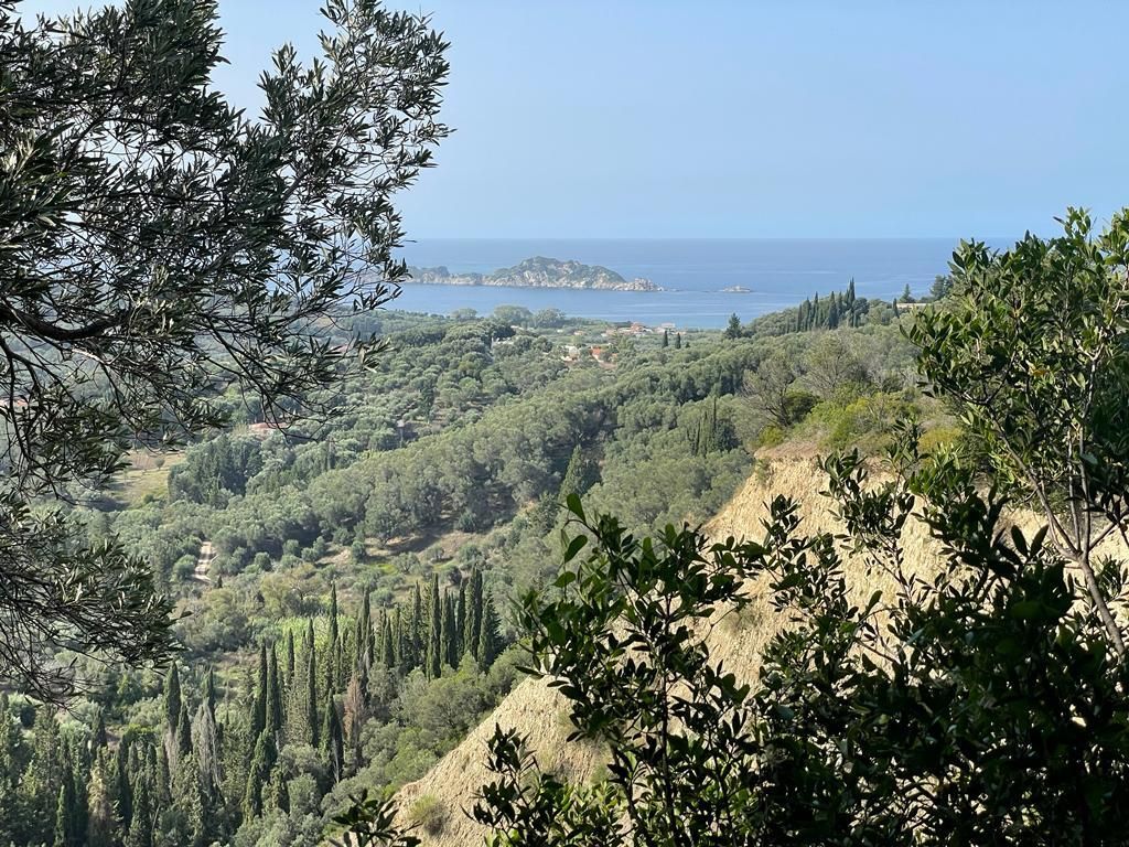 Land in Corfu, Greece, 12 000 sq.m - picture 1