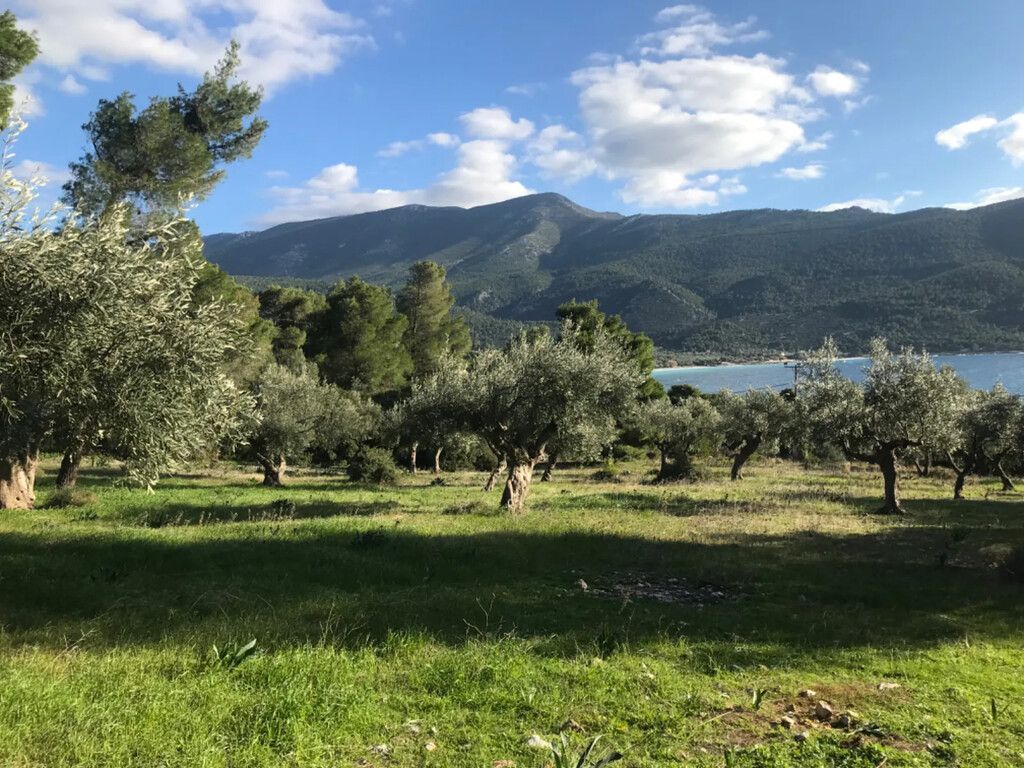 Land in Boiothia, Greece, 3 660 sq.m - picture 1