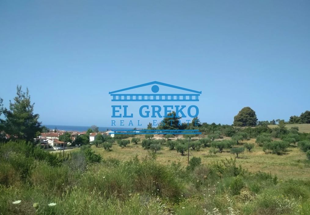 Land in Kassandra, Greece, 8 040 sq.m - picture 1