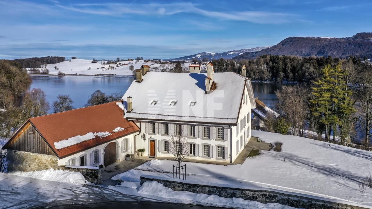 Mansión Pyuidu, Suiza, 431 m2 - imagen 1