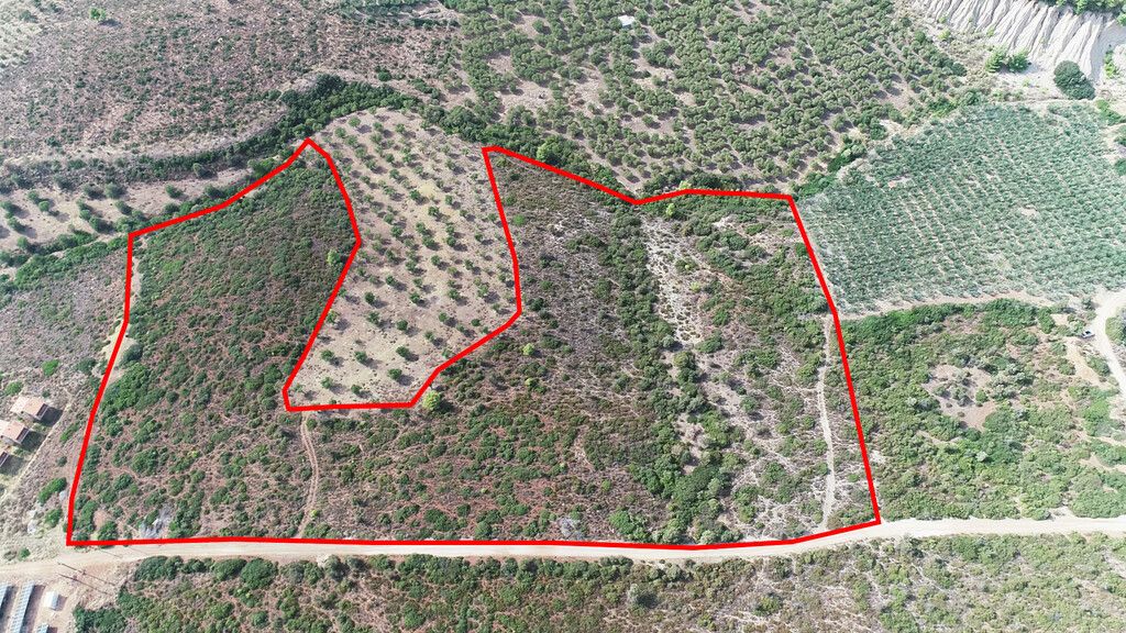Land in Chalkidiki, Greece, 37 500 sq.m - picture 1