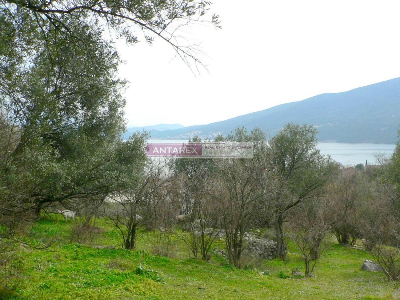 Land in Denovici, Montenegro, 979 sq.m - picture 1