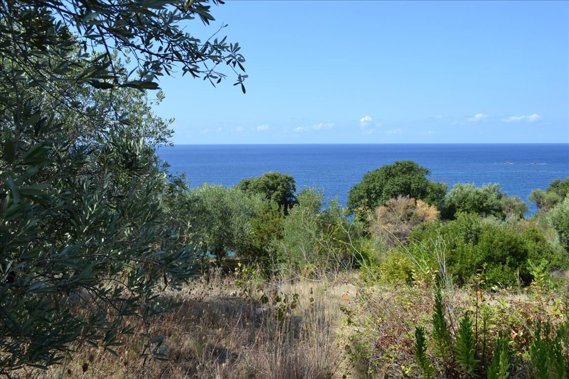 Land in Corfu, Greece, 8 445 sq.m - picture 1