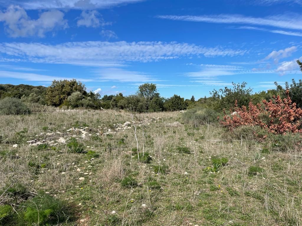 Land in Chania, Greece, 10 000 sq.m - picture 1