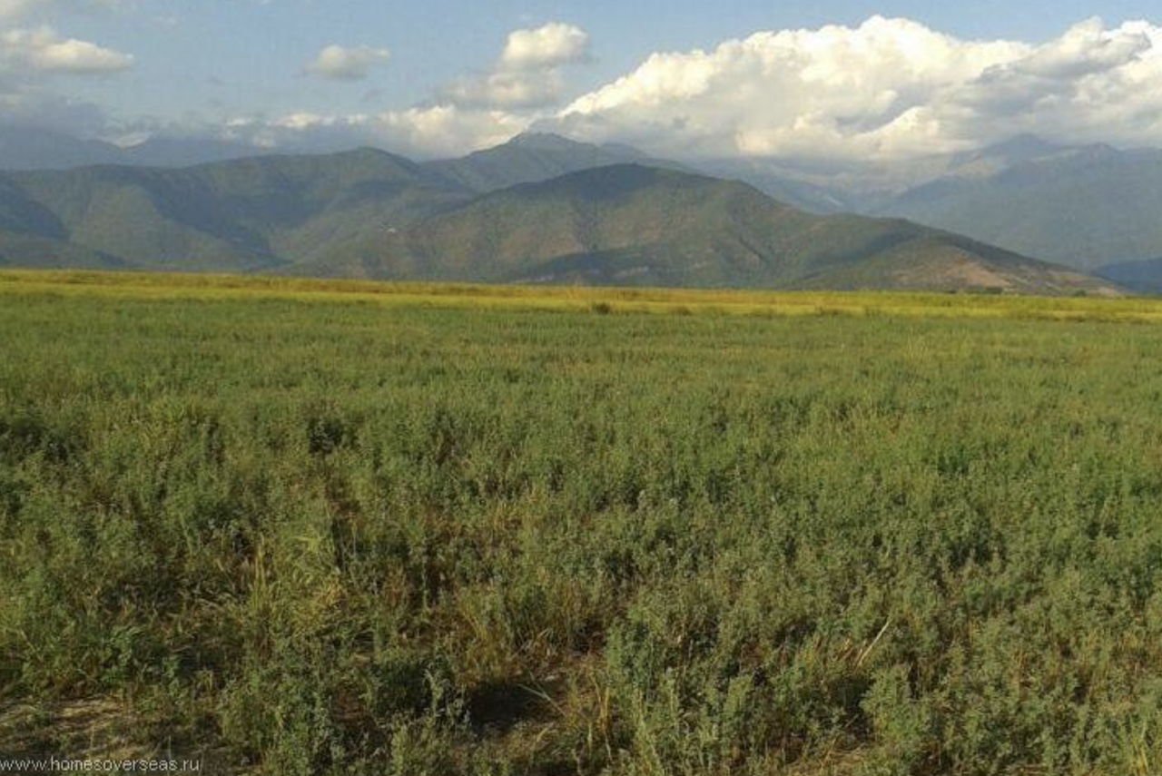 Terreno en el municipio de Qvareli, Georgia, 3.5 hectáreas - imagen 1