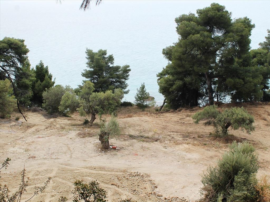 Land in Chalkidiki, Greece, 4 320 sq.m - picture 1