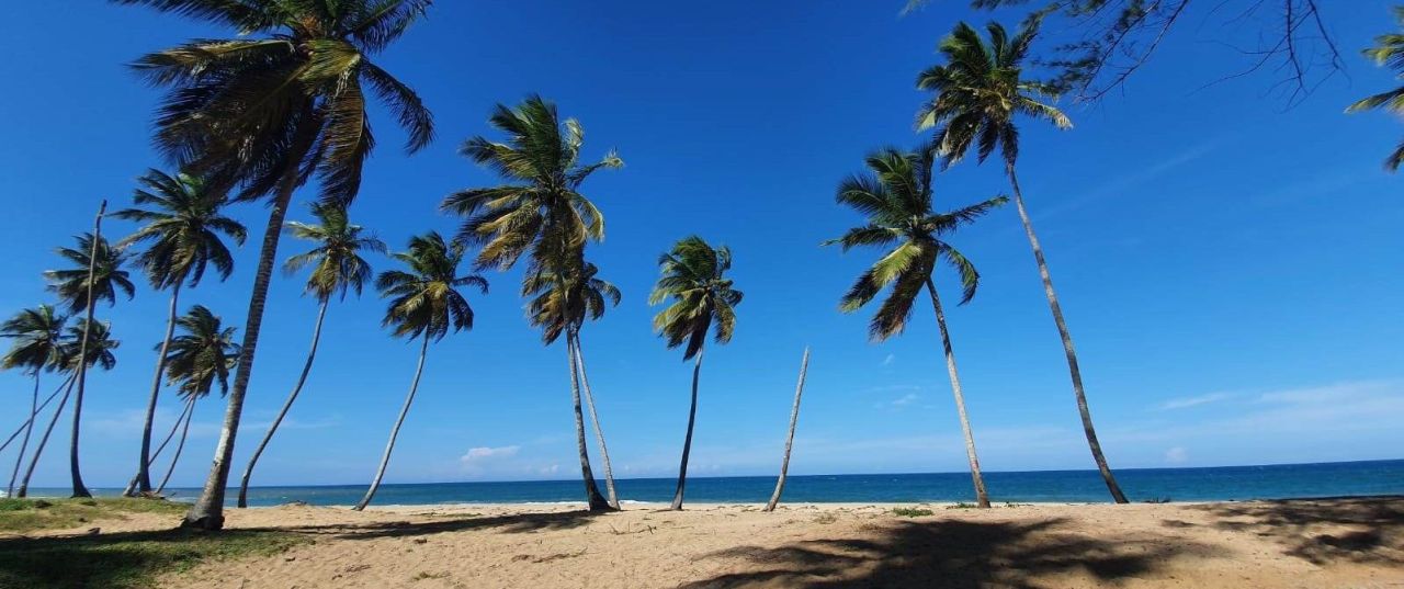 Land in Punta Cana, Dominican Republic, 3 999 sq.m - picture 1