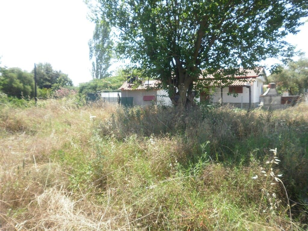 Land in Chalkidiki, Greece, 595 sq.m - picture 1