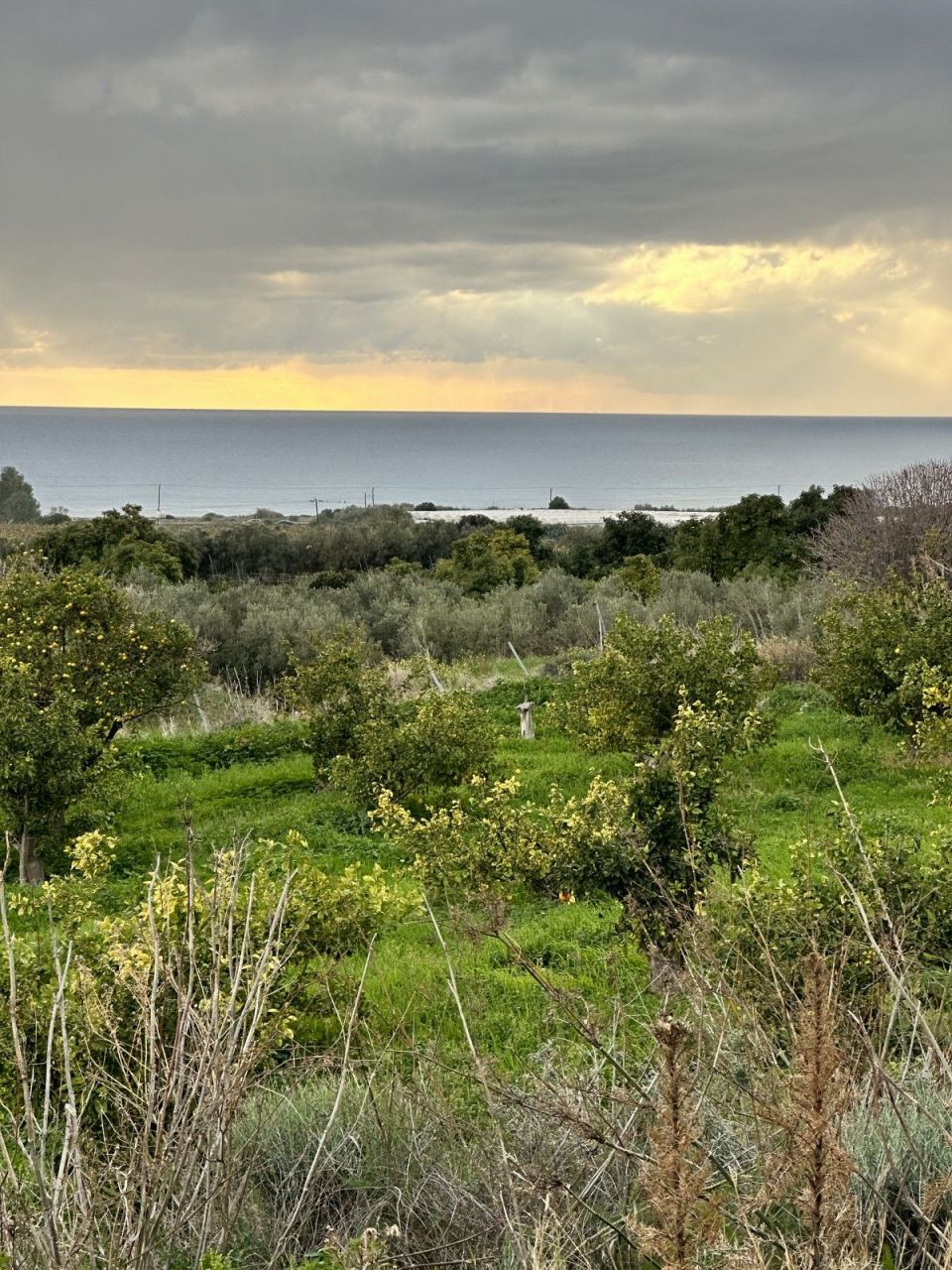 Grundstück in Paphos, Zypern, 4 229 m2 - Foto 1