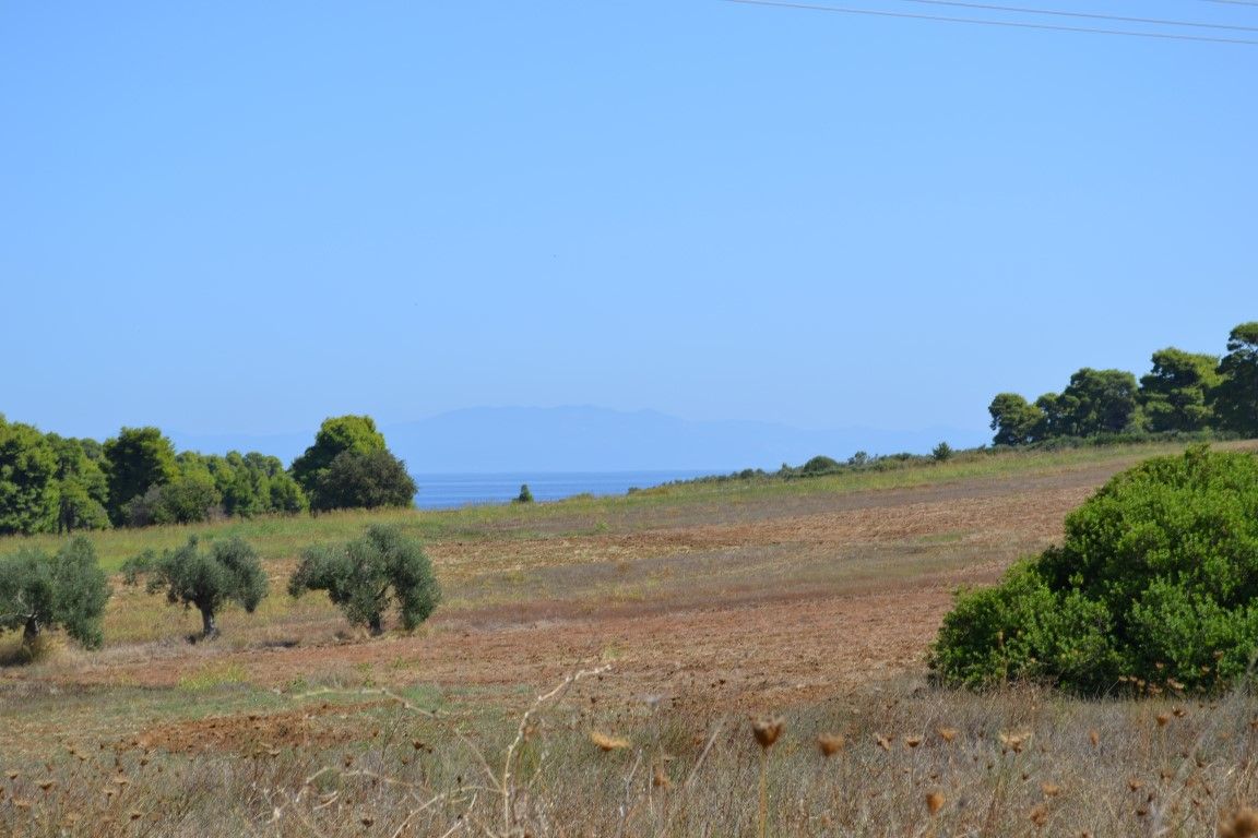 Land in Chalkidiki, Greece, 4 380 sq.m - picture 1