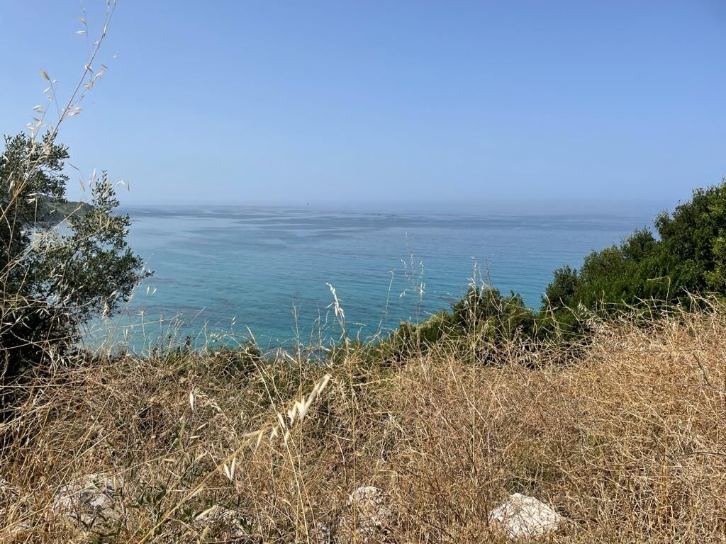 Land in Corfu, Greece, 4 800 sq.m - picture 1