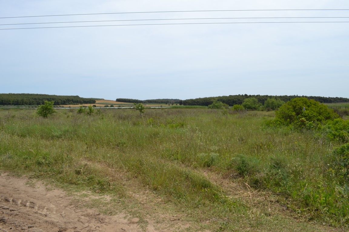 Land in Chalkidiki, Greece, 3 200 sq.m - picture 1