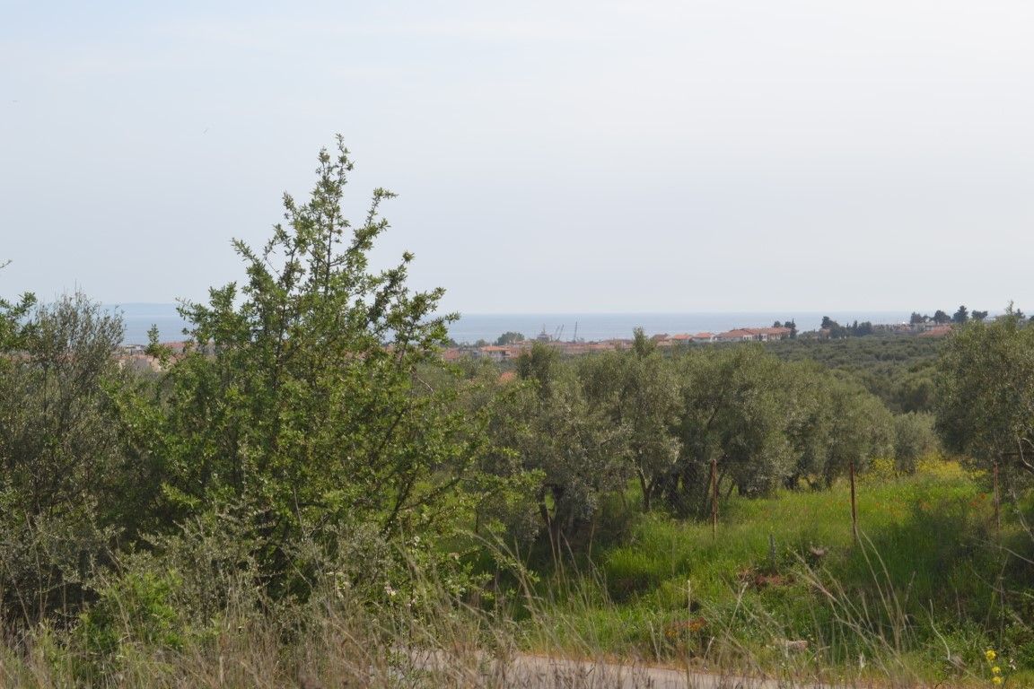 Land in Chalkidiki, Greece, 3 050 sq.m - picture 1