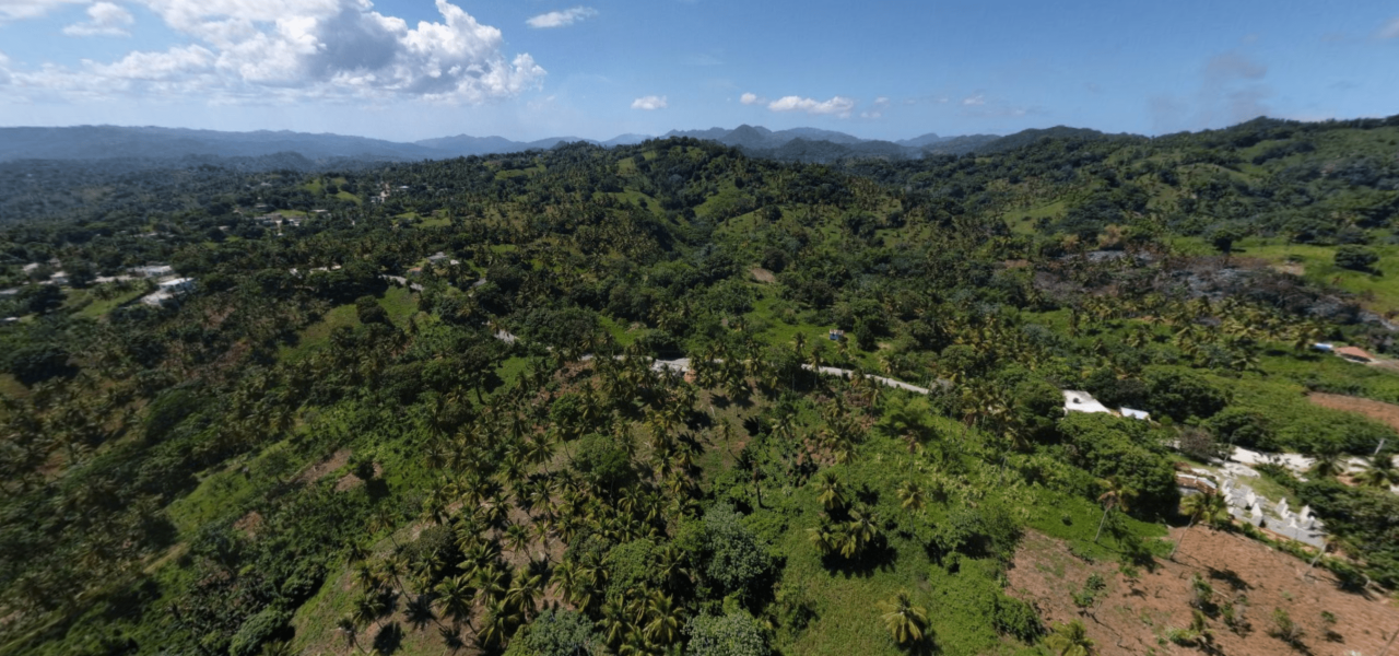 Land in Samana, Dominican Republic, 577 sq.m - picture 1