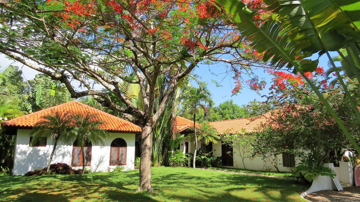 Villa in Cabarete, Dominican Republic, 346 sq.m - picture 1