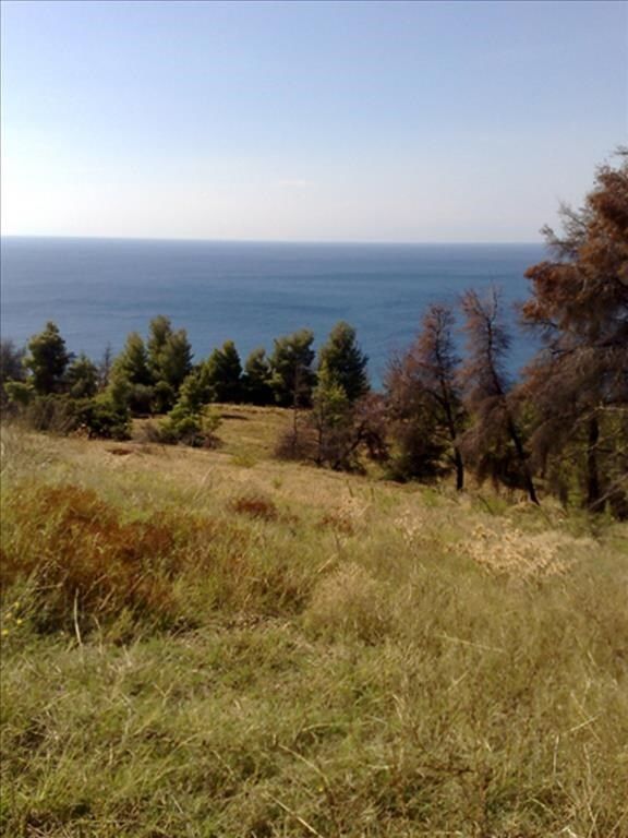 Land in Chalkidiki, Greece, 21 088 sq.m - picture 1