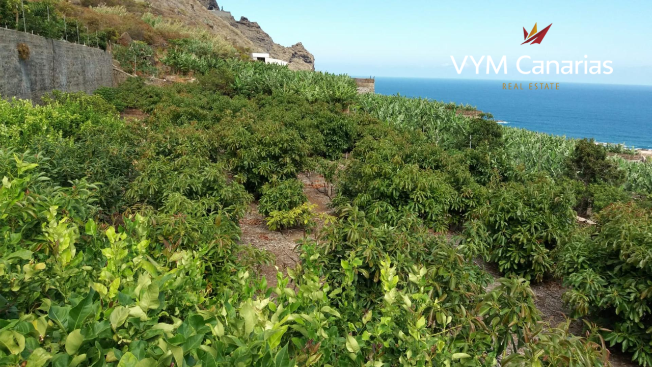 Land on Tenerife, Spain, 300 sq.m - picture 1