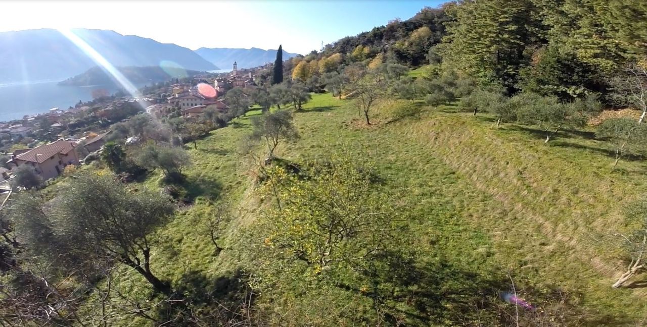 Land in Tremezzina, Italy, 7 000 sq.m - picture 1