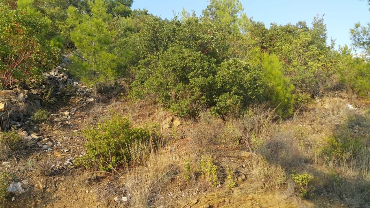 Land in Alanya, Turkey, 6 100 sq.m - picture 1