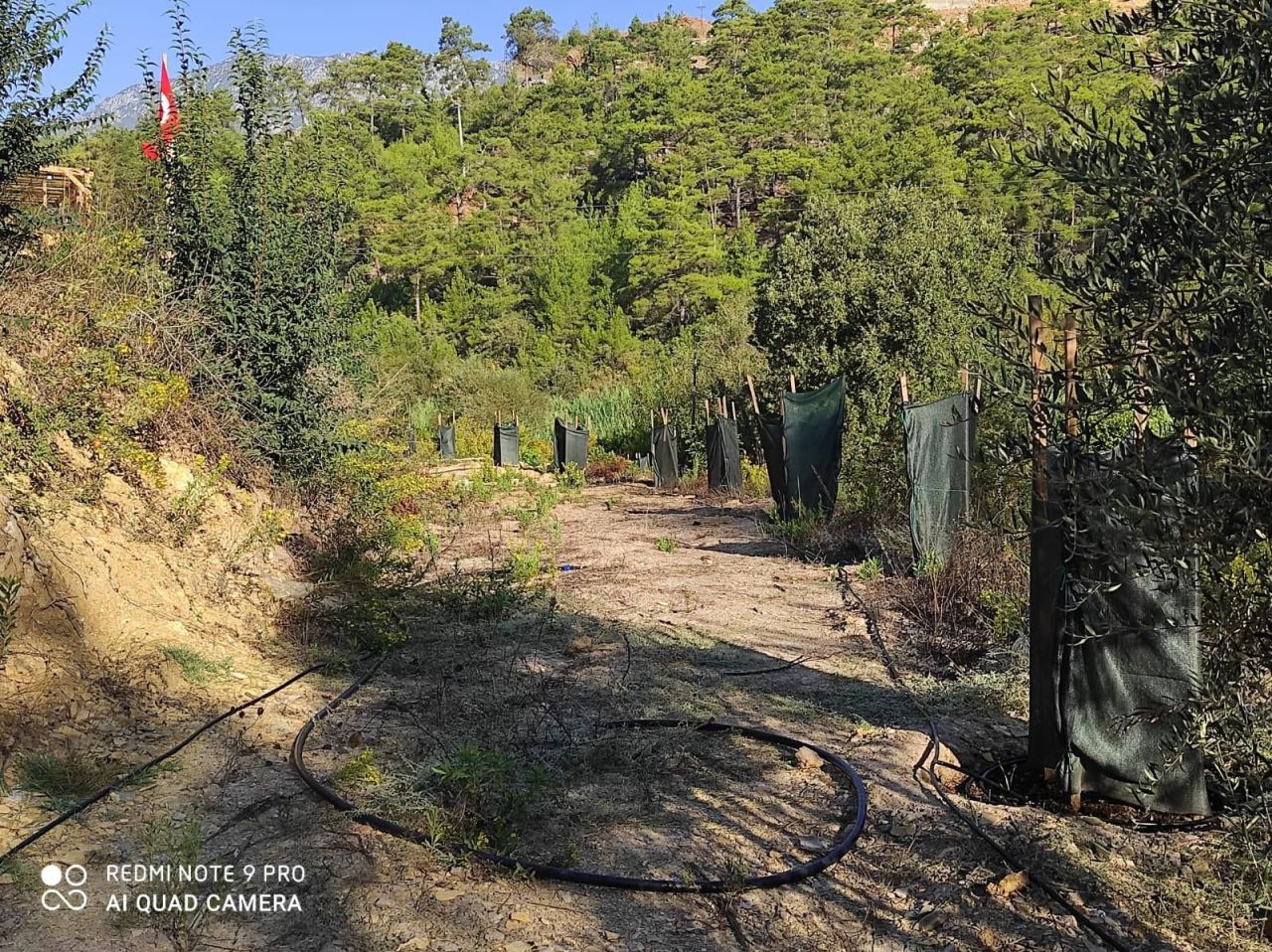 Land in Alanya, Turkey, 2 480 sq.m - picture 1