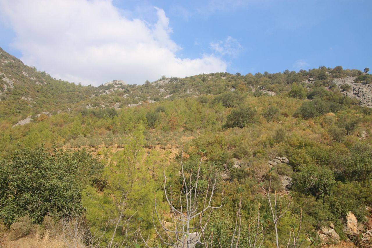Land in Alanya, Turkey, 1 566 sq.m - picture 1