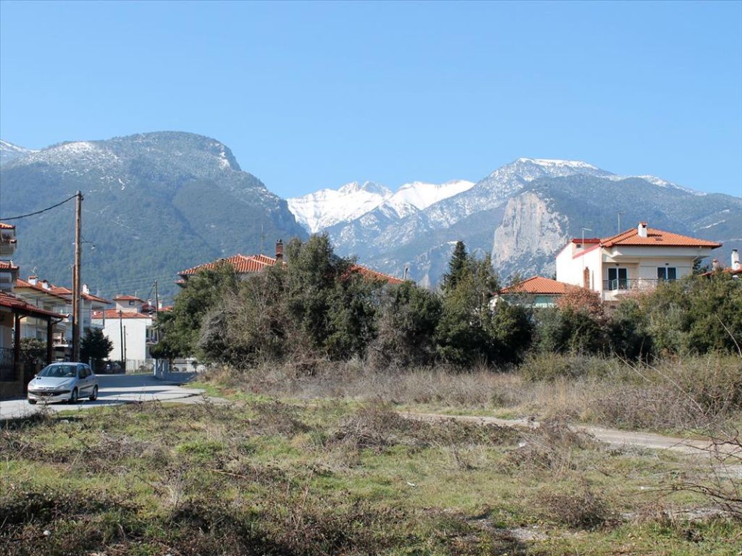 Land in Pieria, Greece, 1 123 ares - picture 1