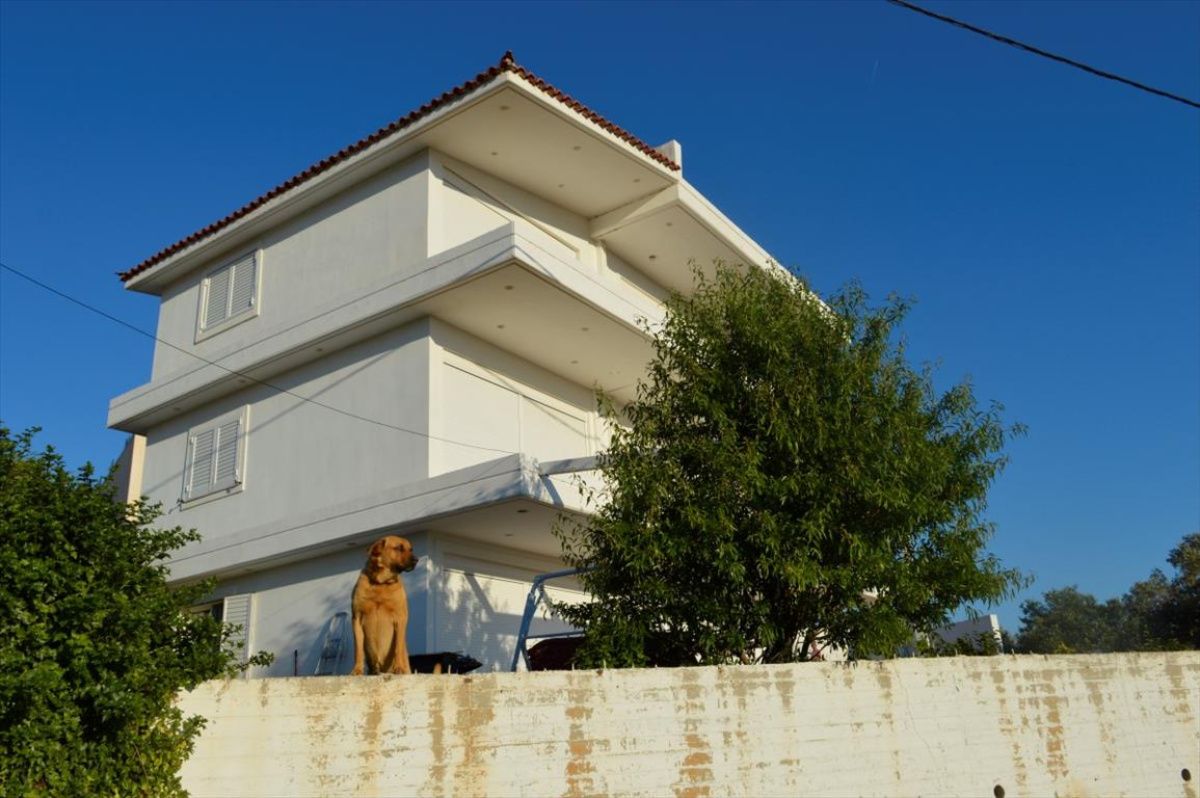 House in Athens, Greece, 300 sq.m - picture 1
