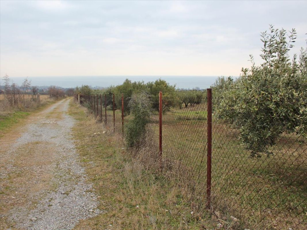Land in Pieria, Greece, 9 062 ares - picture 1