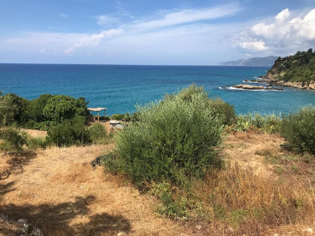 Land in Corfu, Greece, 6 294 sq.m - picture 1