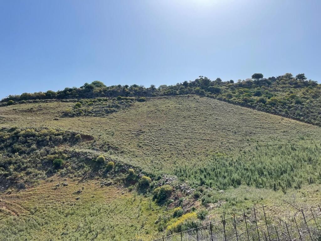 Land in Rethymno, Greece, 10 000 sq.m - picture 1