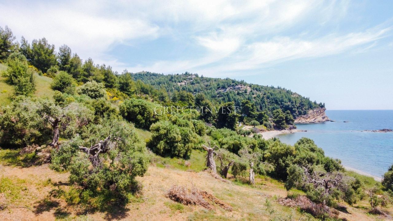 Land in Chalkidiki, Greece, 8 163 m² - picture 1