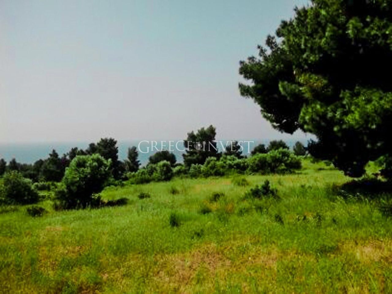 Land in Chalkidiki, Greece, 7 400 sq.m - picture 1