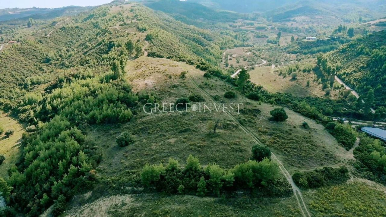 Land in Chalkidiki, Greece, 17 197 m² - picture 1