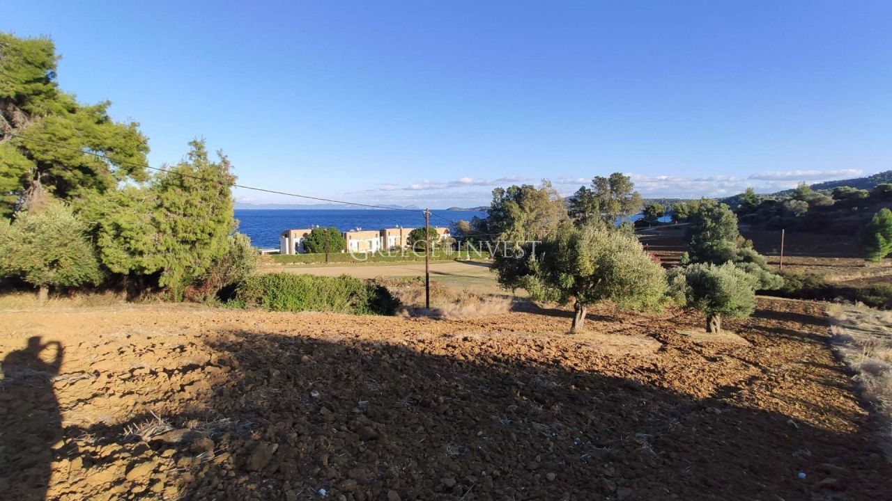 Land in Chalkidiki, Greece, 4 000 m² - picture 1
